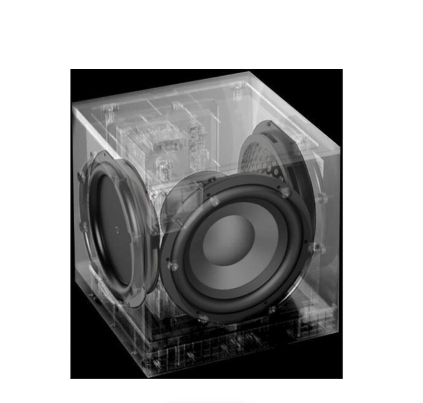 Definitive Technology DN12 Ultra Performance 12